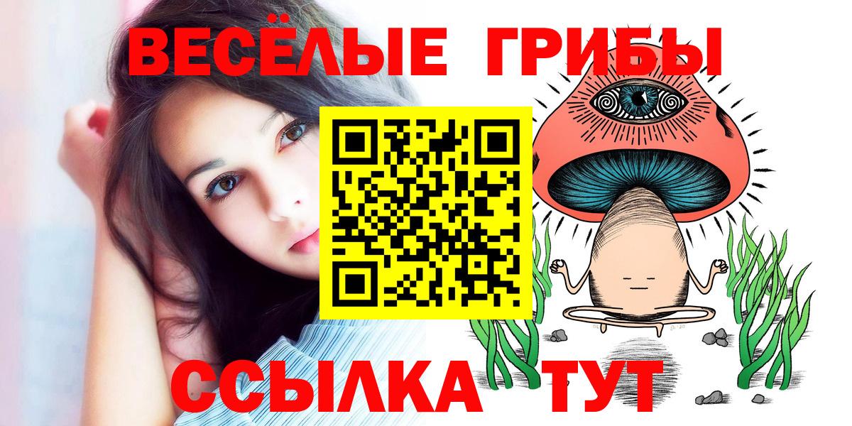 Псилоцибиновые грибы MAGIC MUSHROOMS  Вход с VPN  цены   Волоколамск 